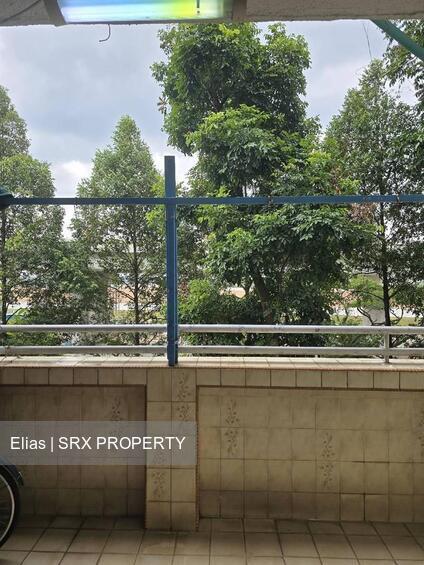 Blk 548 Jurong West Street 42 (Jurong West), HDB Executive #570633261